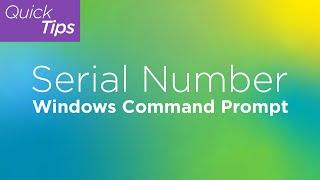 Serial Number: Windows Command Prompt | Lenovo Support Quick Tips