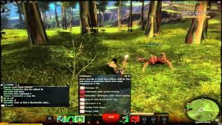 gamerSrbija - Guild Wars 2 Beta - Necromancer [6.deo]