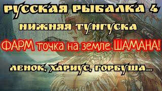 РР4. река Нижняя Тунгуска. ФАРМ на Земле Шамана. Где можно ловить Ленок, Хариус, Горбуша, Форель.