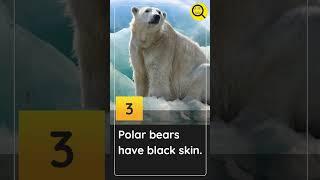 5 Amazing Facts About Animals! #onlyfacts #education #shorts #facts  #animals
