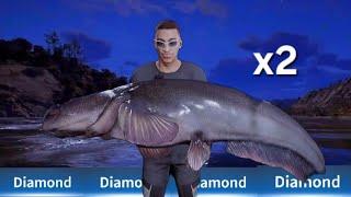 Diamond Wels Catfish HOTSPOT: Call Of The Wild:TheAngler