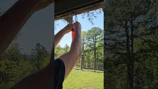 It's hummingbird season in the Ouachita Mountains. Get those feeders up!