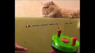 КИВОК Балансирный,готовлюсь на зимнюю тарань:) Рыбалка, самоделки. fishing