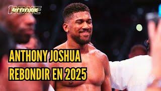 Anthony Joshua énerve Martin Bakole (il soutient Efe Ajagba)