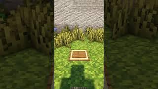 Баганная нажимная плита  #minecraft #Shorts