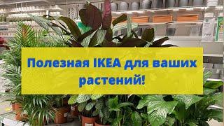 IKEA. Полезности для растений.