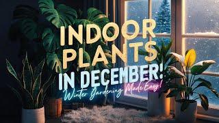 Indoor Plants That Thrive in December: Winter Gardening Made Easy!