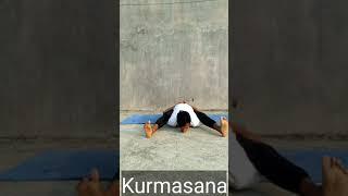 Kurmasana for Beginners | Reclining Tortoise Pose | Yoga and Fitness With Shiva #yoga #workout