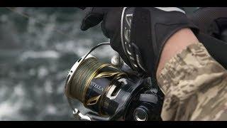 Promo Video SHIMANO 2019 STELLA SW [Fishing New Zealand]