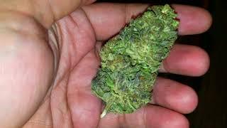 |Fields Of Hemp| Therapy & Elektra CBD Hemp Flower