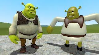 NEW SHREK vs SHREKT In Garry's Mod! (Memes vs Original)