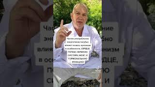 вред от энергетиков