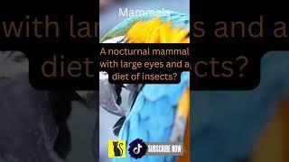 Amazing Animal Facts Unveiled Mammal Bird Reptile Fish Amphibian Discover unknow | Like & Subscribe