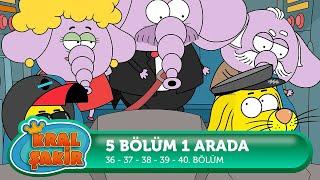 8. Bölüm Uzun Versiyon - Kral Şakir