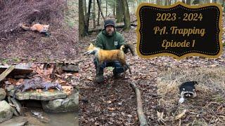 2023-2024 PA. Trapping Season (trapping predators to save the turkey)