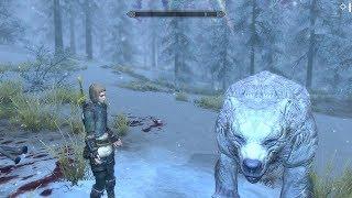 Skyrim mod Rigmor of Cyrodiil #13 Mr Bear, come back!