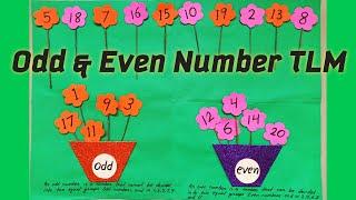 Easy Maths TLM | Odd And Even Number TLM | Primary School Maths Project |