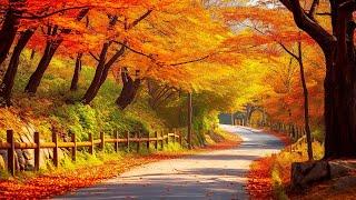 Autumn Melody Of Love  October Autumn Gentle Music Restores The Nervous System Satisfies The Soul