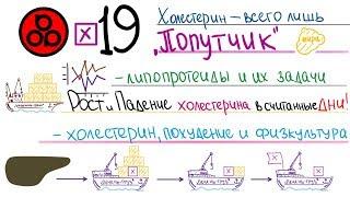 #19 Высокий холестерин на кето и карнивор? 2ч.