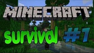 (Minecraft Survival)#1   Vagos