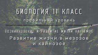 Биология 11 кл Теремов §29 Развитие жизни в мезозое и кайнозое