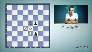 Урок 12. Конь. Как ходит и кушает конь.