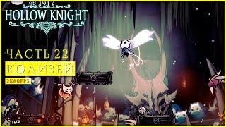 КОЛИЗЕЙ ГЛУПЦОВ ● Hollow Knight [PC | 2K60FPS] #22