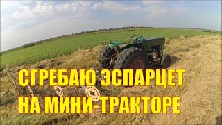 Сгребаю эспарцет на мини-тракторе. Эспарцет пришлось досушивать