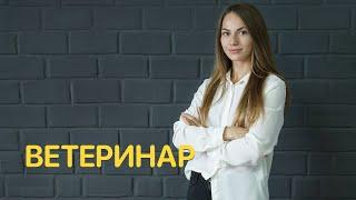 Вопросы ветеринару — Jobber