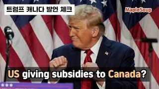 Is the U.S. Really Subsidizing Canada? The Truth Behind Trade Claims