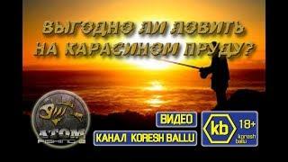 Atom Fishing II Выгодно ли ловить на карасином пруду? Где ловить трофейных: карася, линя, налима?