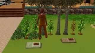 sims 3 all rare plants I have 2 death flowers which stops death killing you