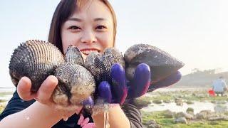 After the low tide, the lobster is bigger than the head!