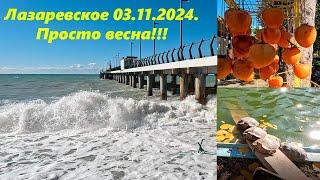 Погода в Лазаревском 03.11.2024 Просто весна!!! ЛАЗАРЕВСКОЕ СЕГОДНЯСОЧИ.