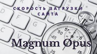 Скорость загрузки сайта (Page Speed)