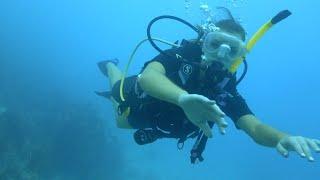 Olivia Brower Goes Scuba Diving in the British Virgin Islands