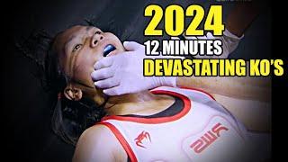 12 Minutes of Devastating MMA KO's of 2024 !