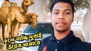 রওনা দিলাম দুবাই উটের খামারের উদ্দেশ্যে | Going to dubai camel farm | VLOG - 4 |