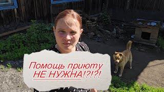 Два миллиона на собак?!?!