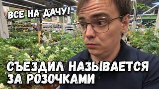 Съездил называется за розочками по акции. Уже даже в Ашан спокойно сходить не могу, все для дачи