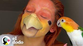 Pájaro pegajoso corre a la ducha cada vez que escucha correr el agua  | El Dodo