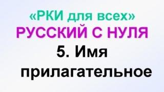 5-урок. Какой? Прилагательные.  Грамматика русского языка с нуля.