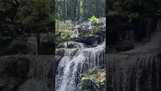 Hidden paradise in Luwuk #mokokawawaterfall #heaven #waterfall #nature #wonderfulindonesia