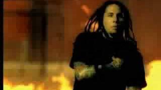 P.O.D. - School of Hard Knocks [Video]