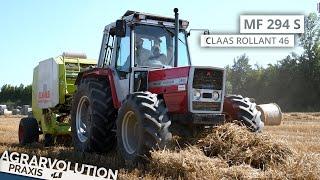 Massey Ferguson 294S + Claas Rollant 46 • Weizenstrohpressen | Agrarvolution Praxis