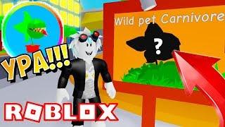 ДИКИЙ ПИТОМЕЦ С СЧАСТЛИВОГО ГОРОДА В СИМУЛЯТОРЕ ТРЕНИРОВКИ ПИТОМЦЕВ! Roblox Pet Trainer Simulator