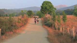 Professor Linda Yakle Walks the Camino - St. Petersburg College