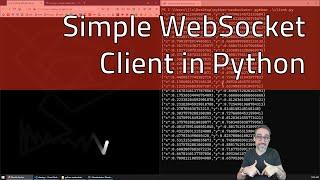 8.1 How to Create a WebSocket Client in Python - Fun with WebSockets!