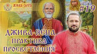 ДЖИВА-ЯСНА : ПРАКТИКА ПРОСВЕТЛЕНИЯ. Школа Живы и Жива-Ярги #19 Владимир Куровский