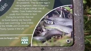 Walk Around Leybourne Lakes